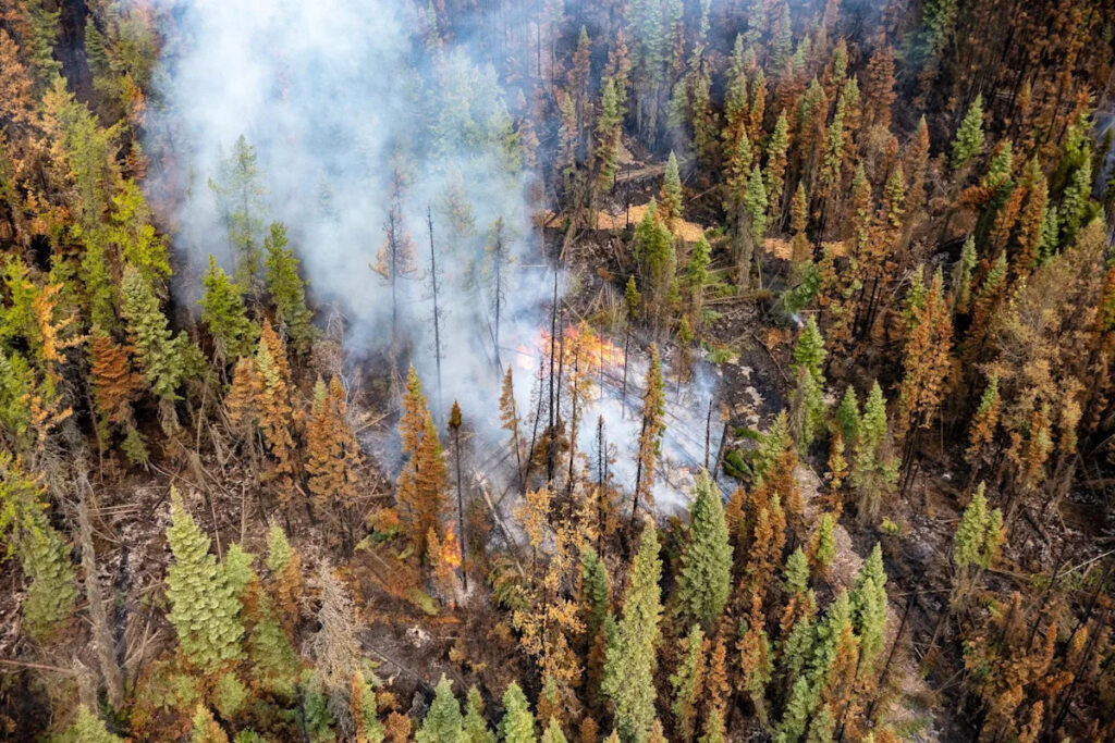 Smoke descends on Northeastern US. Map shows air quality impacts.