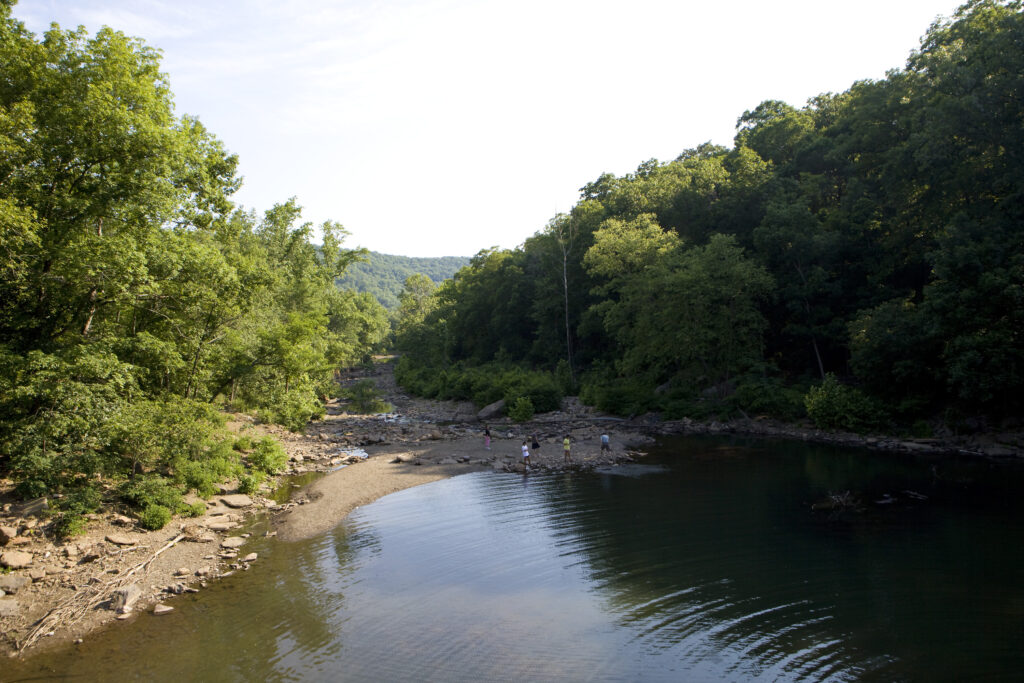 Police Search for Suspect Who Killed Parents Walking With Their Children