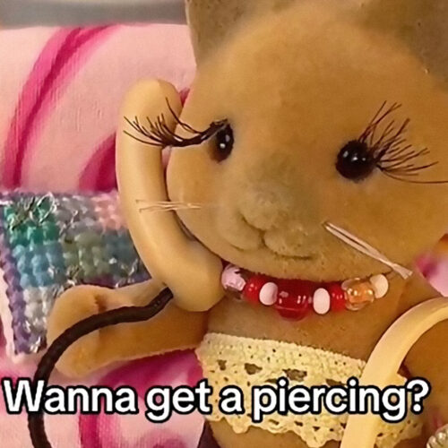 Toymaker suddenly drops lawsuit against “Sylvanian Drama” TikToker Toymaker suddenly drops lawsuit against “Sylvanian Drama” TikToker