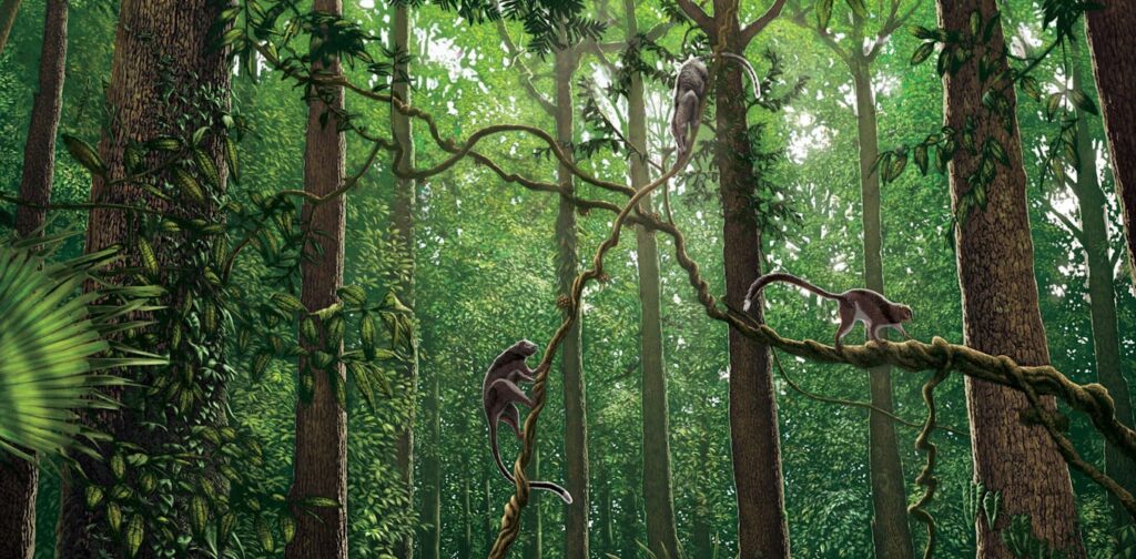 56 million years ago, Earth underwent rapid global warming. Here’s what it did to pollinators 56 million years ago, Earth underwent rapid global warming. Here’s what it did to pollinators