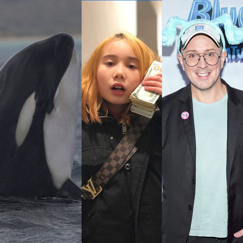 Jessica Radcliffe’s Orca Attack, Lil Tay’s IG Hack & More Death Hoaxes Jessica Radcliffe’s Orca Attack, Lil Tay’s IG Hack & More Death Hoaxes