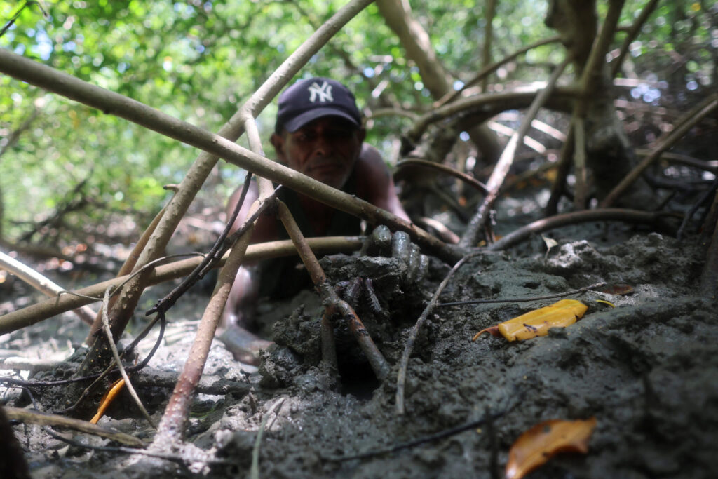 Leaders should put the Amazon at the heart of a new green economy