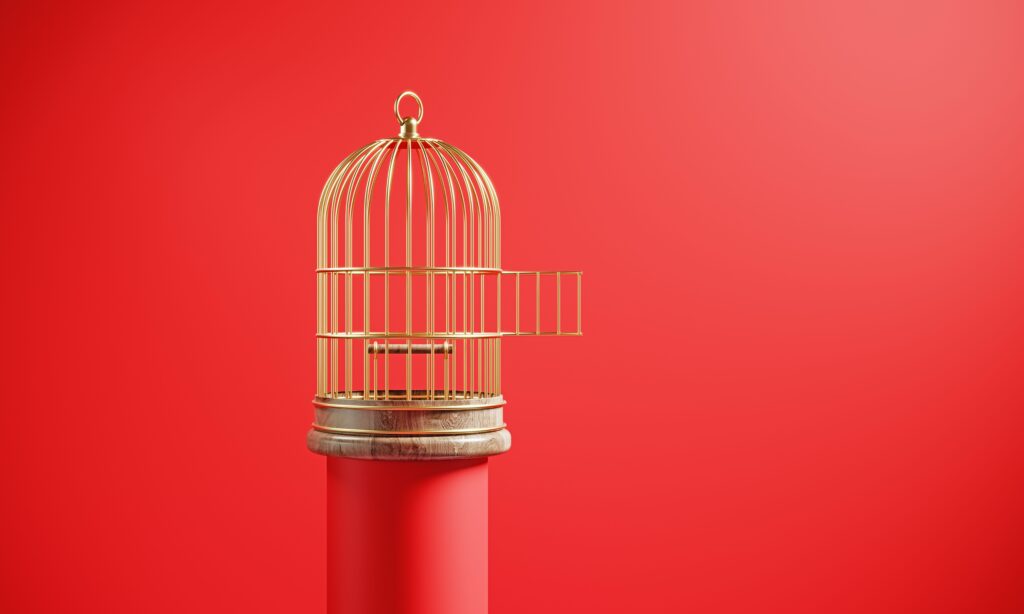 What Exactly Is a Male Chastity Cage—And Why Can It Be Such A Turn-On?