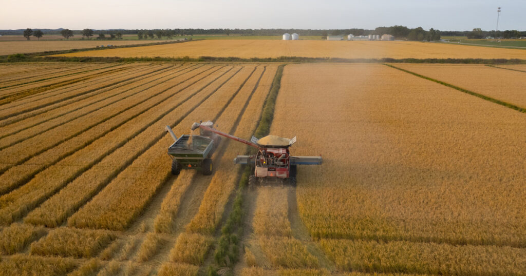 The Floods Kept Coming. He Needed to Grow a Crop That Would Thrive in Water — or to Quit.