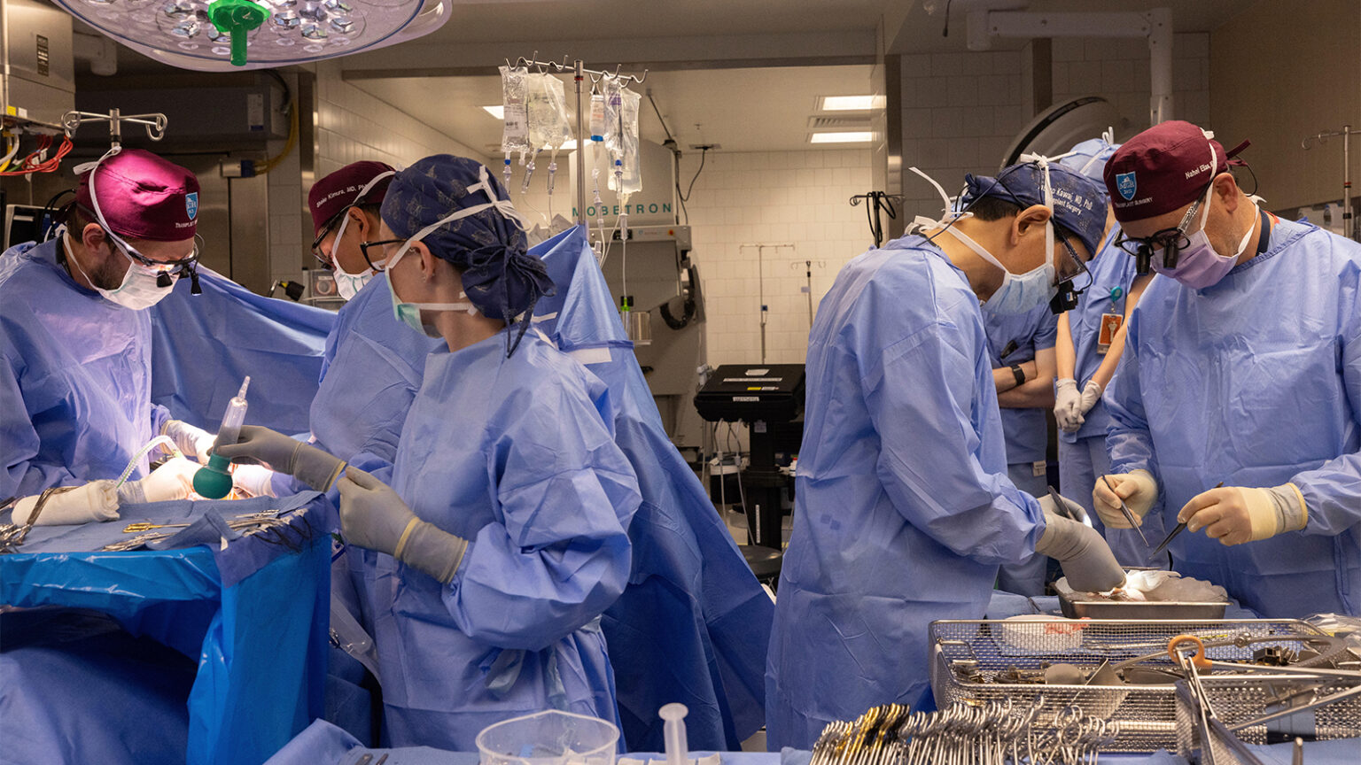 Another Man Gets a Pig Kidney as Transplant Trials Are Poised to Start