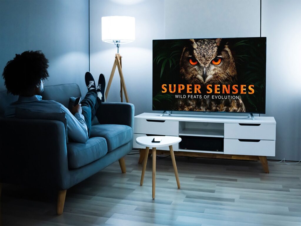 Cut the noise and dive into history, science, and culture with MagellanTV Cut the noise and dive into history, science, and culture with MagellanTV