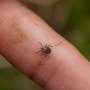 Lyme disease: What to know about symptoms, treatment and prevention Lyme disease: What to know about symptoms, treatment and prevention