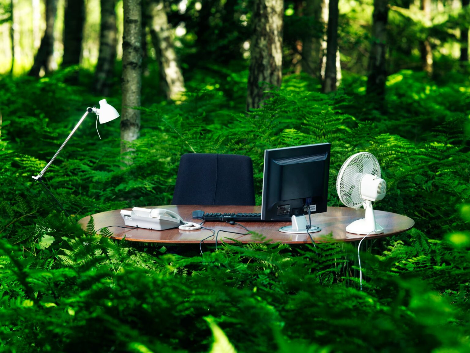 Are IT problems really to blame for EUDR delay?