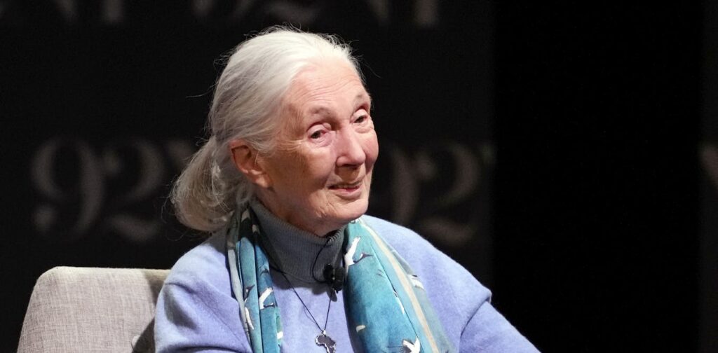 Jane Goodall, the gentle disrupter whose research on chimpanzees redefined what it meant to be human Jane Goodall, the gentle disrupter whose research on chimpanzees redefined what it meant to be human