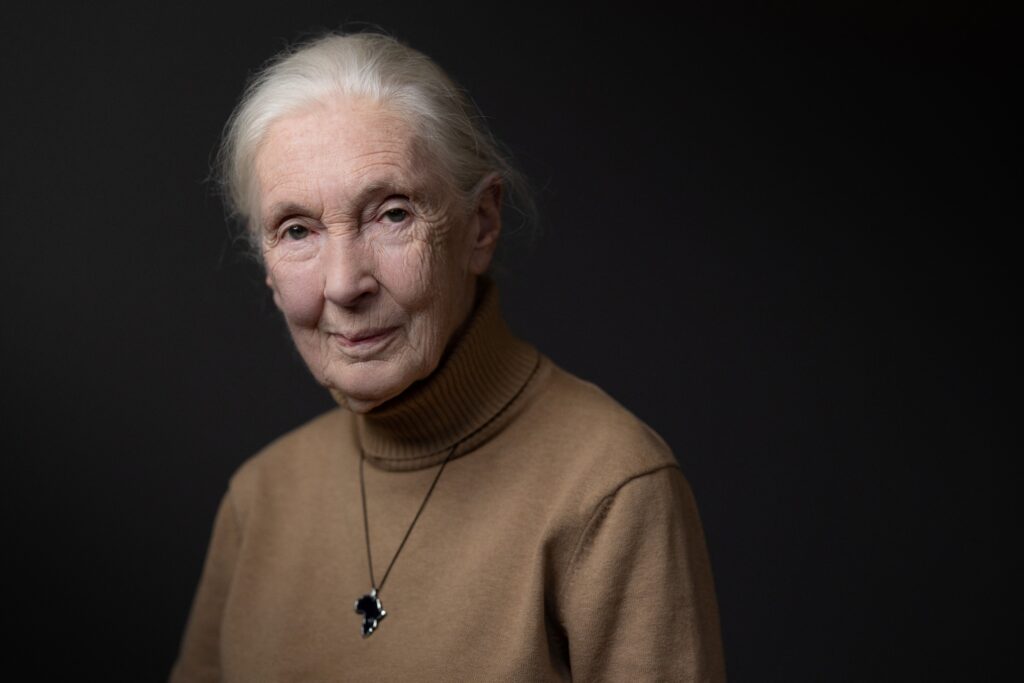 Jane Goodall Was So Much More Than a Scientist. She Was a Pioneer