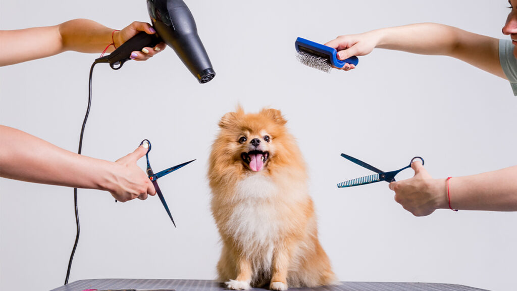 New Research on How the Best Managers Shape Employees’ Careers