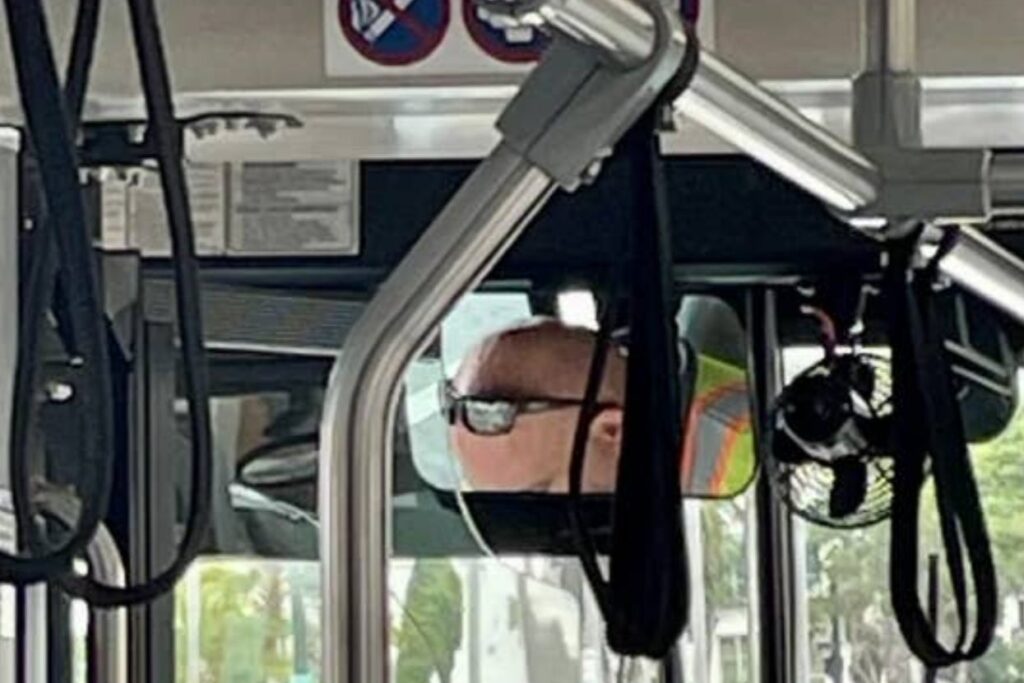 15 Head-Scratching Photos That Turned My Peanut Brain Into A Singular Speck