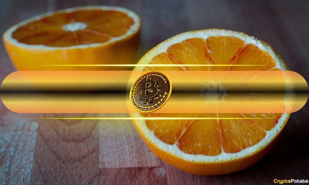 Bitcoin Keeps Breaking Records, But Each Halving Cycle Delivers Smaller Gains Bitcoin Keeps Breaking Records, But Each Halving Cycle Delivers Smaller Gains