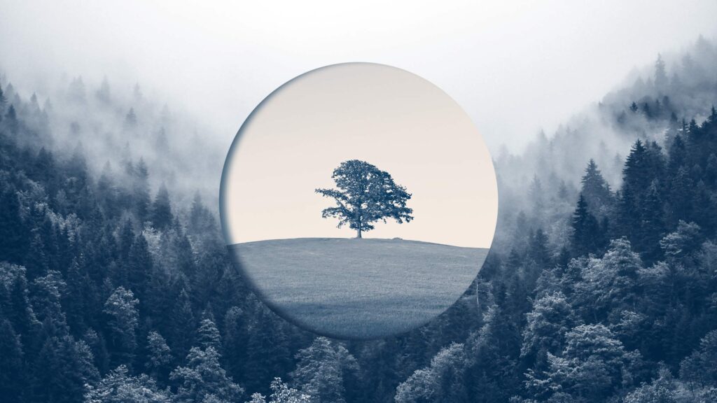 Research: How Old Companies Can Ignite New Growth