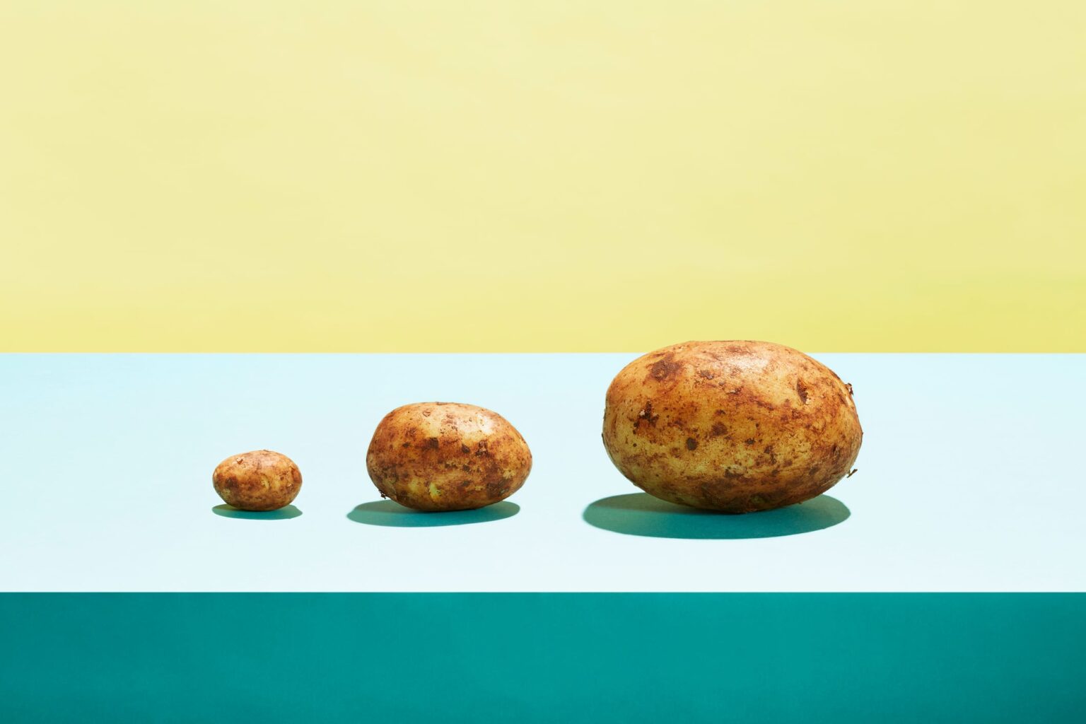 Potato protein market to grow as demand for functionality booms Potato protein market to grow as demand for functionality booms