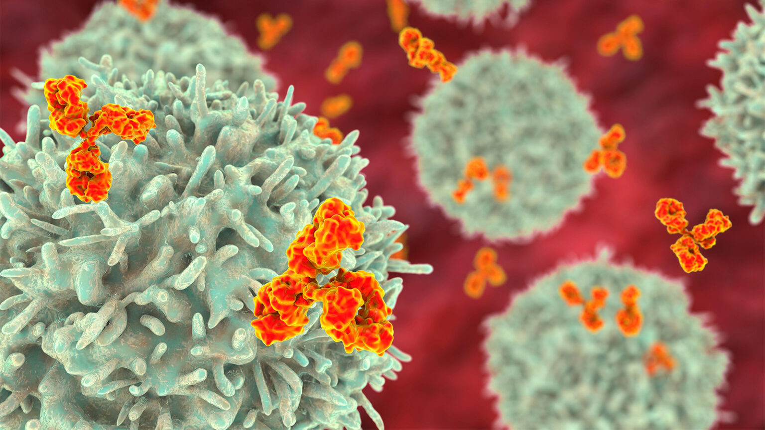 Myeloma Drug Performs Well in Autoimmune Diseases