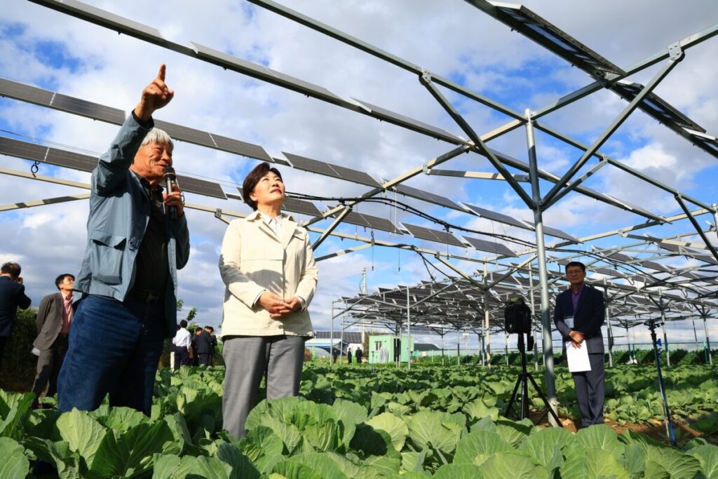 South Korea to introduce rules for agrivoltaics
