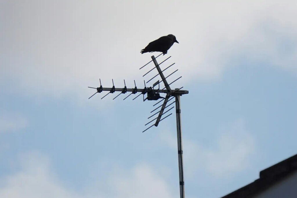 ATSC 3.0 is coming: TV antenna users should prepare for chaos ATSC 3.0 is coming: TV antenna users should prepare for chaos