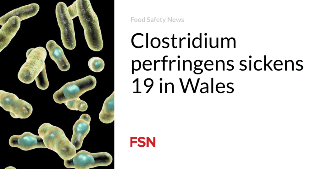 Clostridium perfringens sickens 19 in Wales