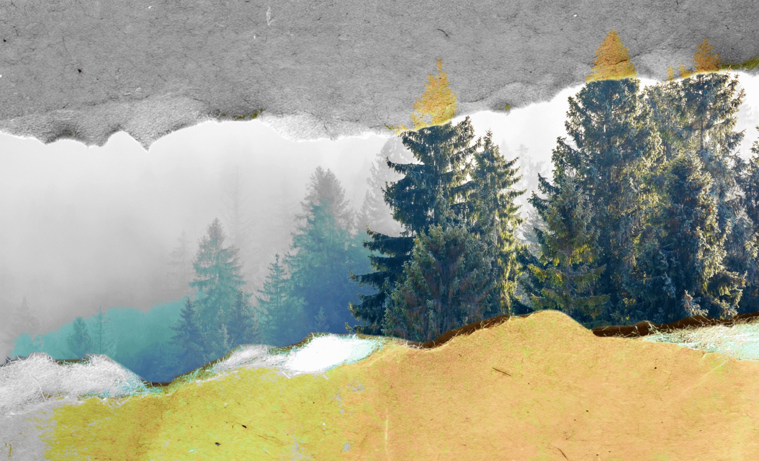 Advertising watchdog calls out PlantPaper’s dirty talk