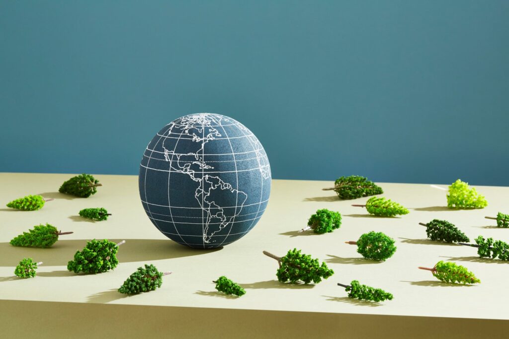 EUDR delay agreed by EU member states