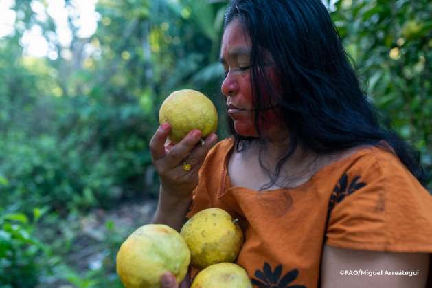 COP30: Urgent Financing to Transform Agrifood Systems COP30: Urgent Financing to Transform Agrifood Systems