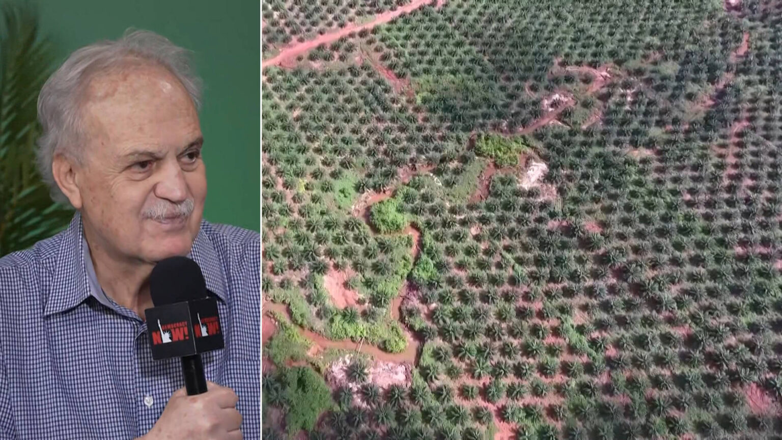 The Race to Save the Amazon: Top Brazilian Scientist Says Rainforest Is at “Tipping Point”