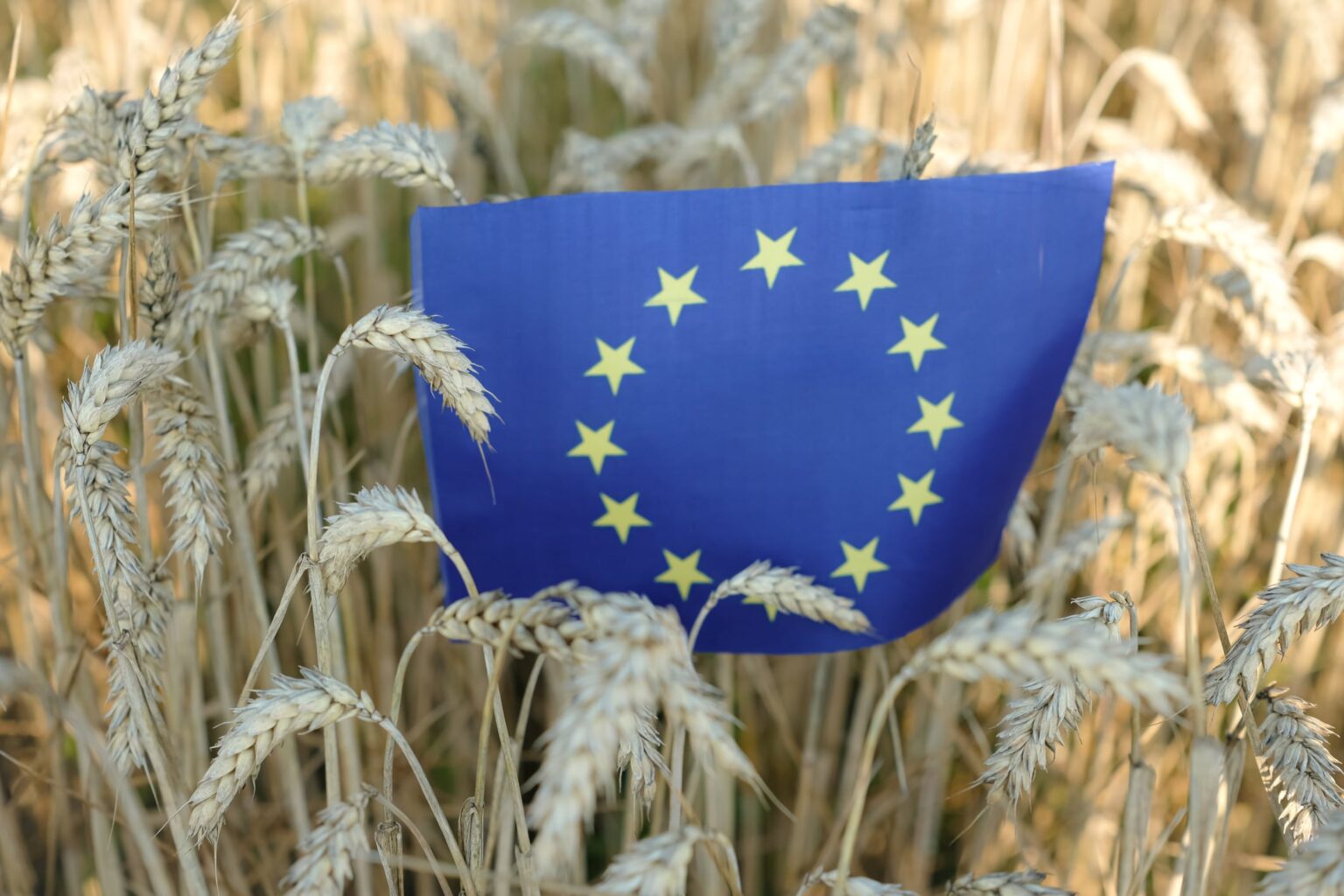 EU bioeconomy strategy: What it means for food