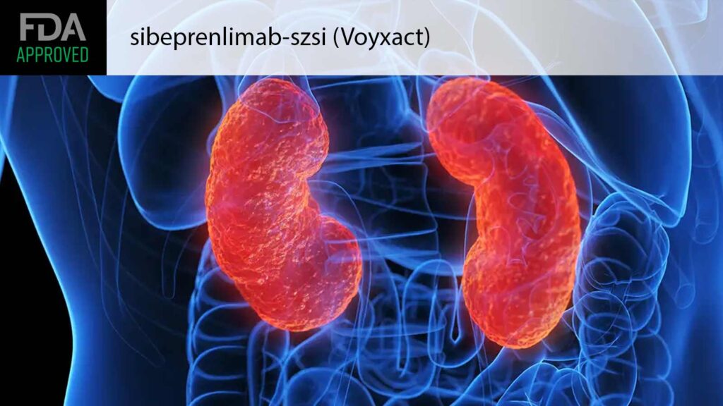 New Injectable Approved for a Type of Kidney Disease