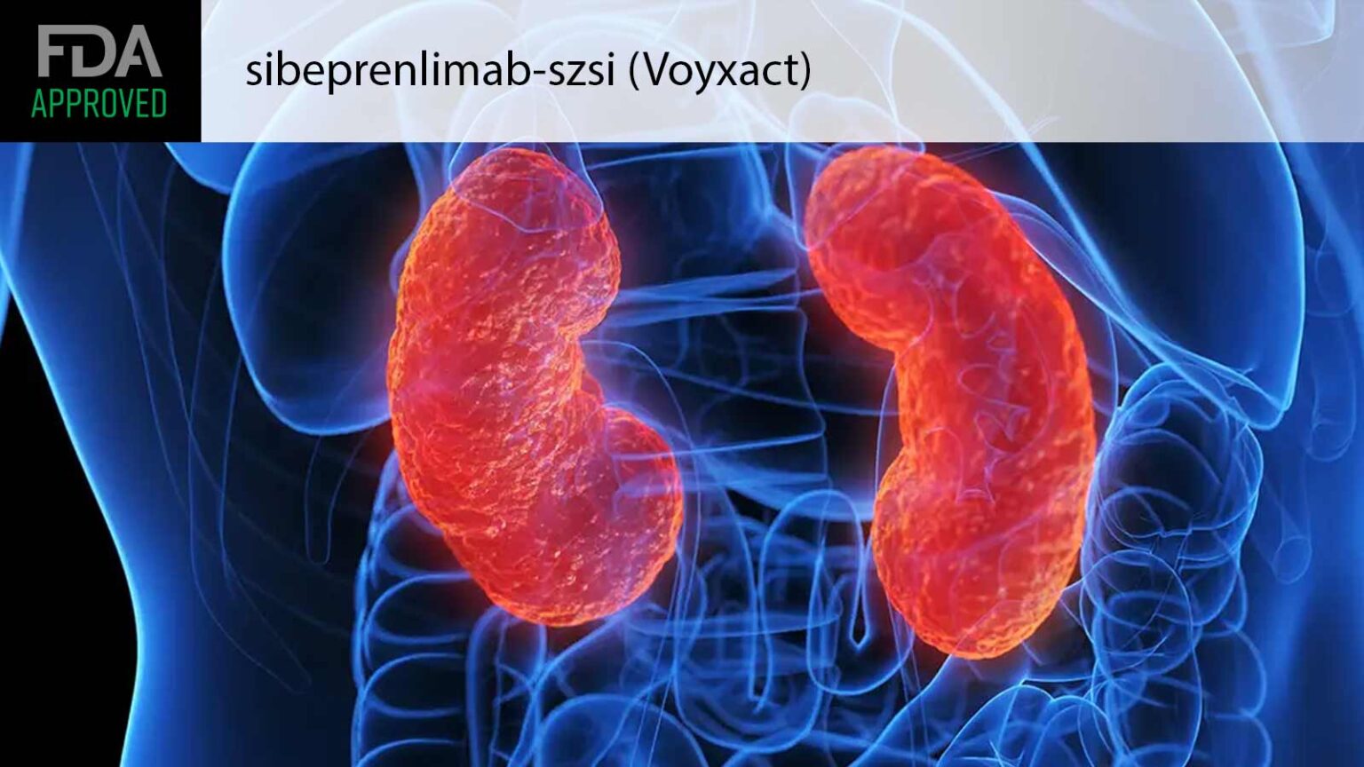 New Injectable Approved for a Type of Kidney Disease