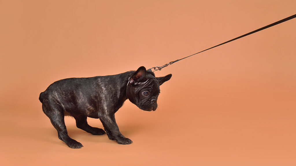 Most Employees Don’t Trust Their Leaders. Here’s What to Do About It.