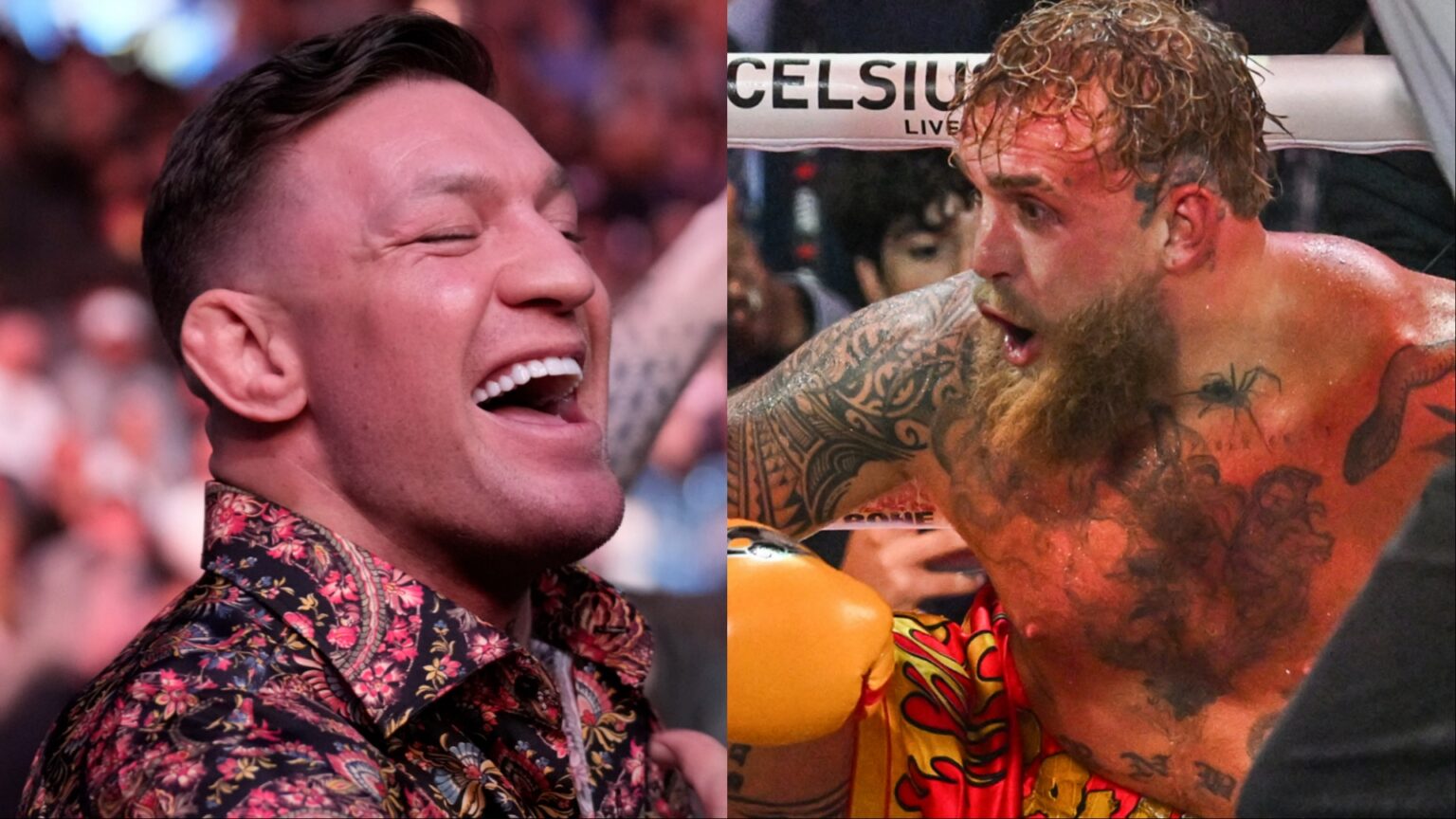 Conor McGregor mocks Jake Paul’s broken jaw in since-deleted Christmas social media message