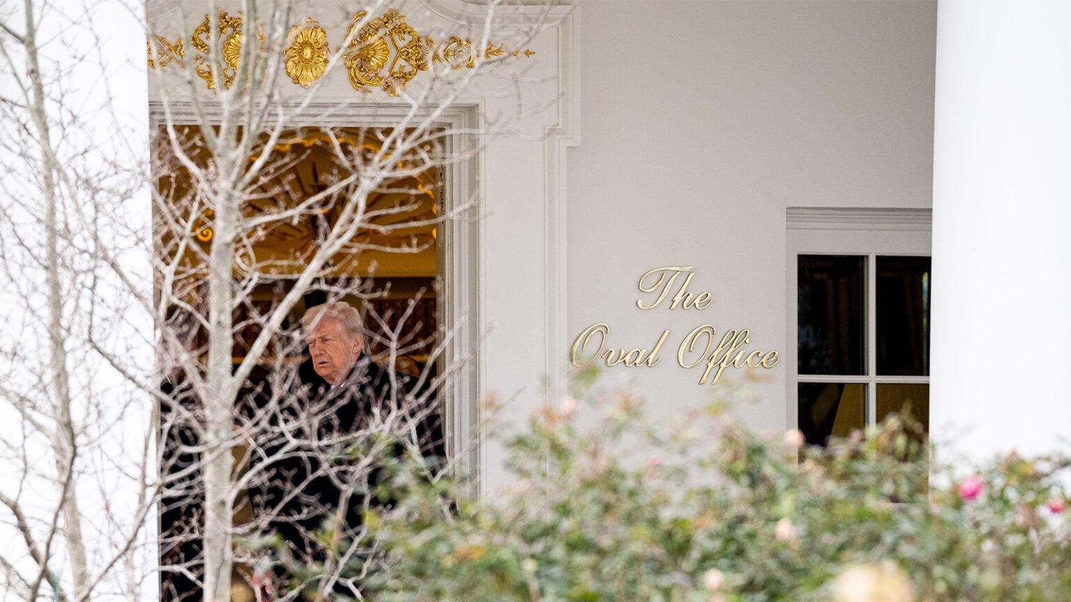 The Year in Trump’s Health