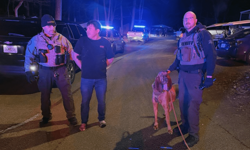 Barefoot Suspect Tracked by K9 After Fatal Fayette County Stabbing Barefoot Suspect Tracked by K9 After Fatal Fayette County Stabbing