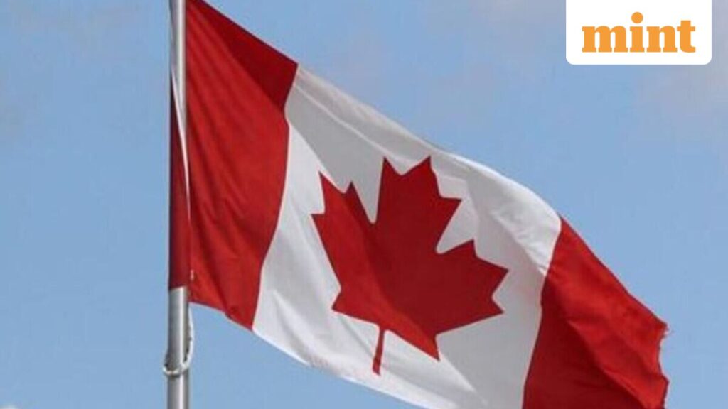 Canada immigration: Over 1 million Indians at risk of losing legal status, warns consultant Canada immigration: Over 1 million Indians at risk of losing legal status, warns consultant