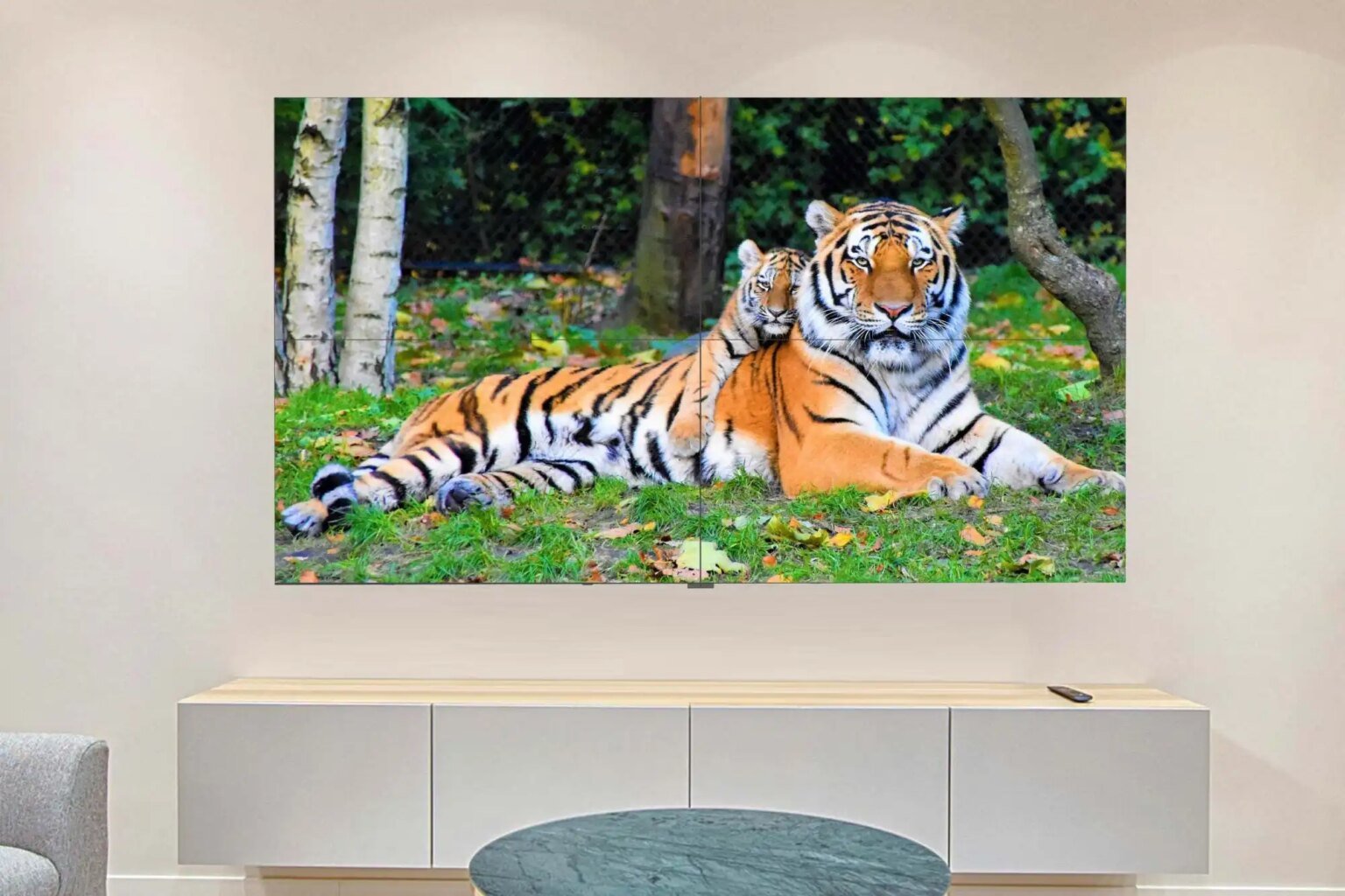 This 130-inch OLED TV sticks to a wall with suction tech