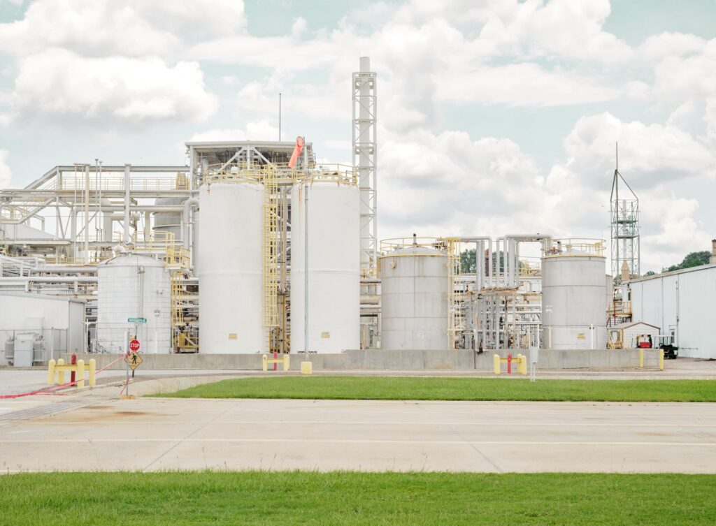 Exclusive: Can biotech break monk fruit’s supply constraints? Manus thinks so