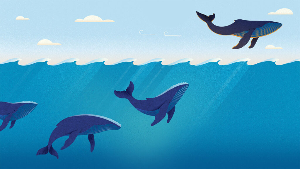 Weave Mentorship into the Fabric of Your Organization