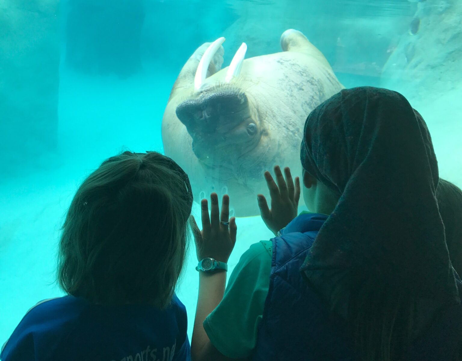 Bubblewrap: A nimble way to prevent agents from accessing your .env files