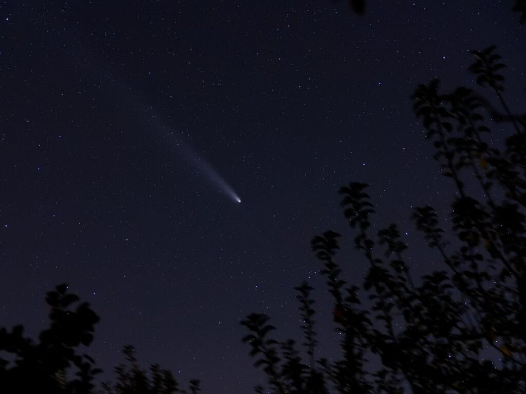 This comet could offer a unique spectacle in 2026 This comet could offer a unique spectacle in 2026