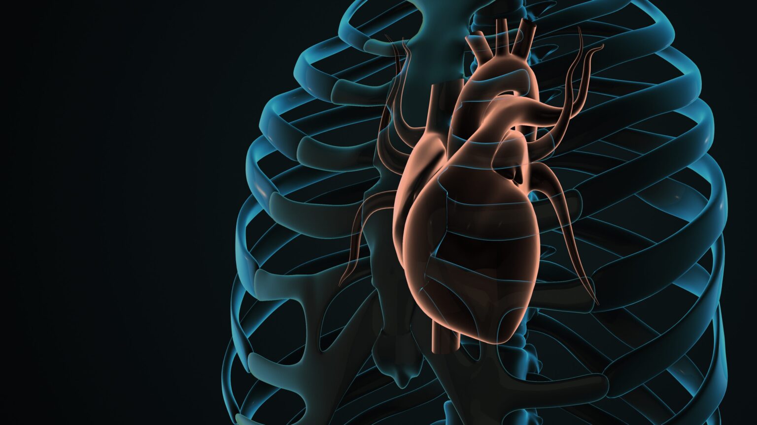 Surgeons Just Performed the First Open Heart Surgery Without Ever Opening the Chest. Here’s How.