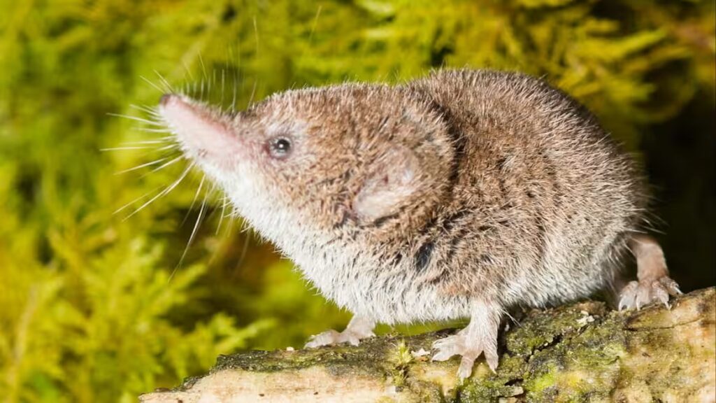 Why we have the calendar all wrong