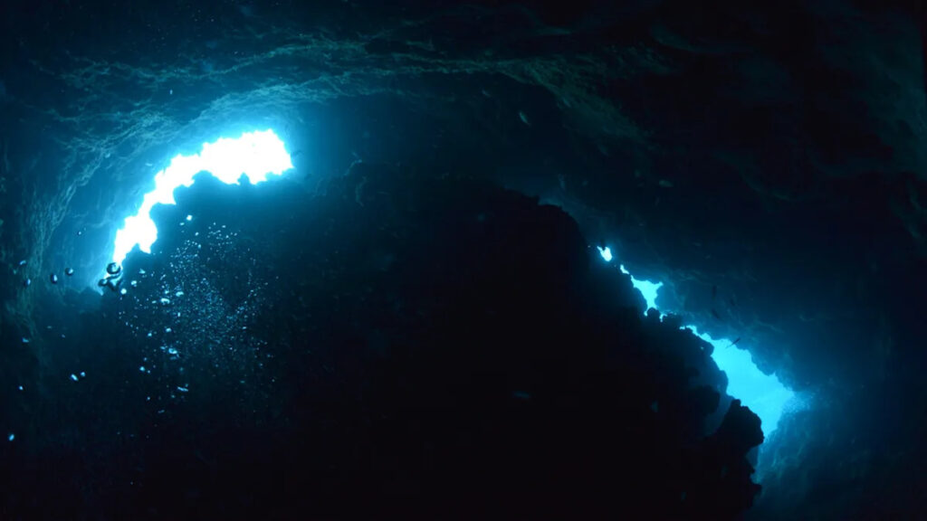 Scientists issue warning after making disturbing discovery deep inside sea caves: ‘What we saw inside some caves was shocking’