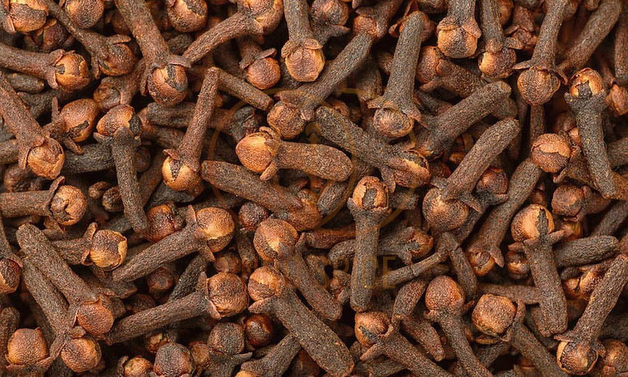 Nigeria to Become Africa’s Second Commercial Cloves Producer Nigeria to Become Africa’s Second Commercial Cloves Producer