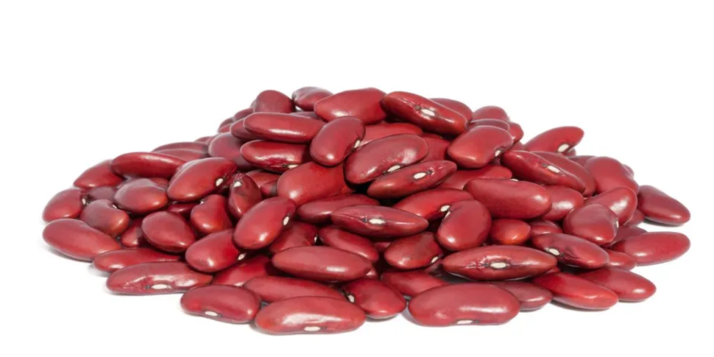 EFSA urges proper processing to avoid lectins risk