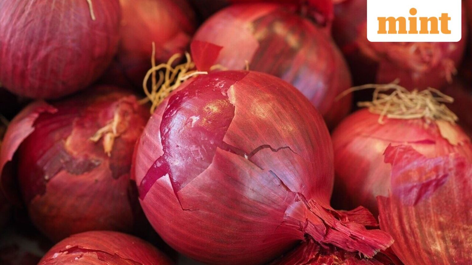 Over 10,500 gelatin sticks, detonators seized from lorry carrying onions in Kerala’s Chemmad