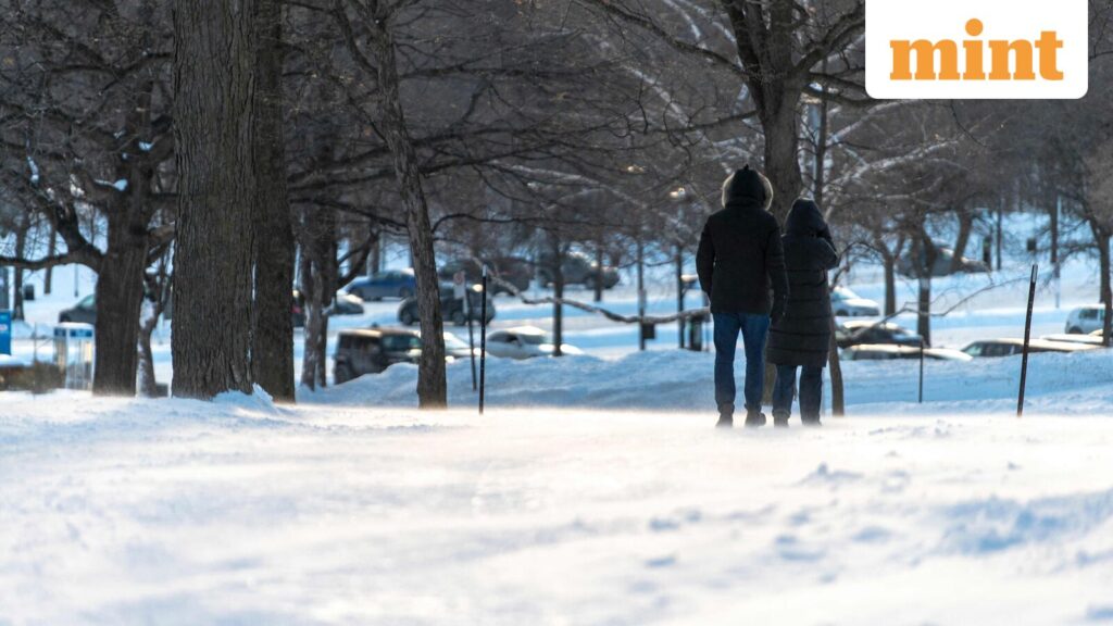 ‘Brutally cold weekend’ awaits US, Canada; forecasters say polar vortex to bring coldest air on Feb 7-8