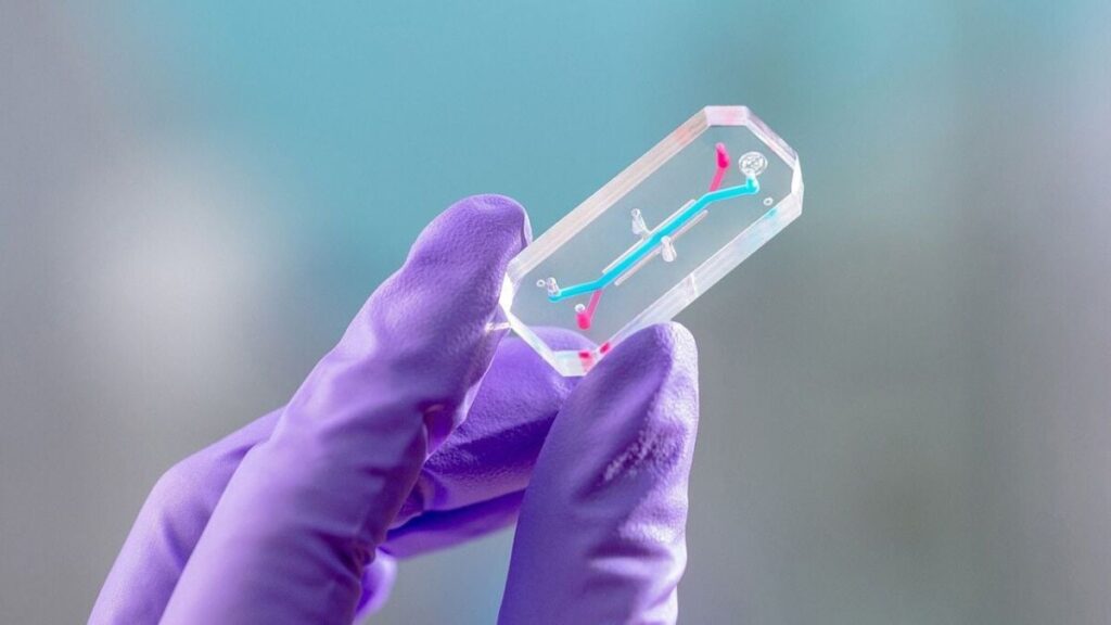 These avatars will fly around the moon with NASAs Artemis 2 astronauts