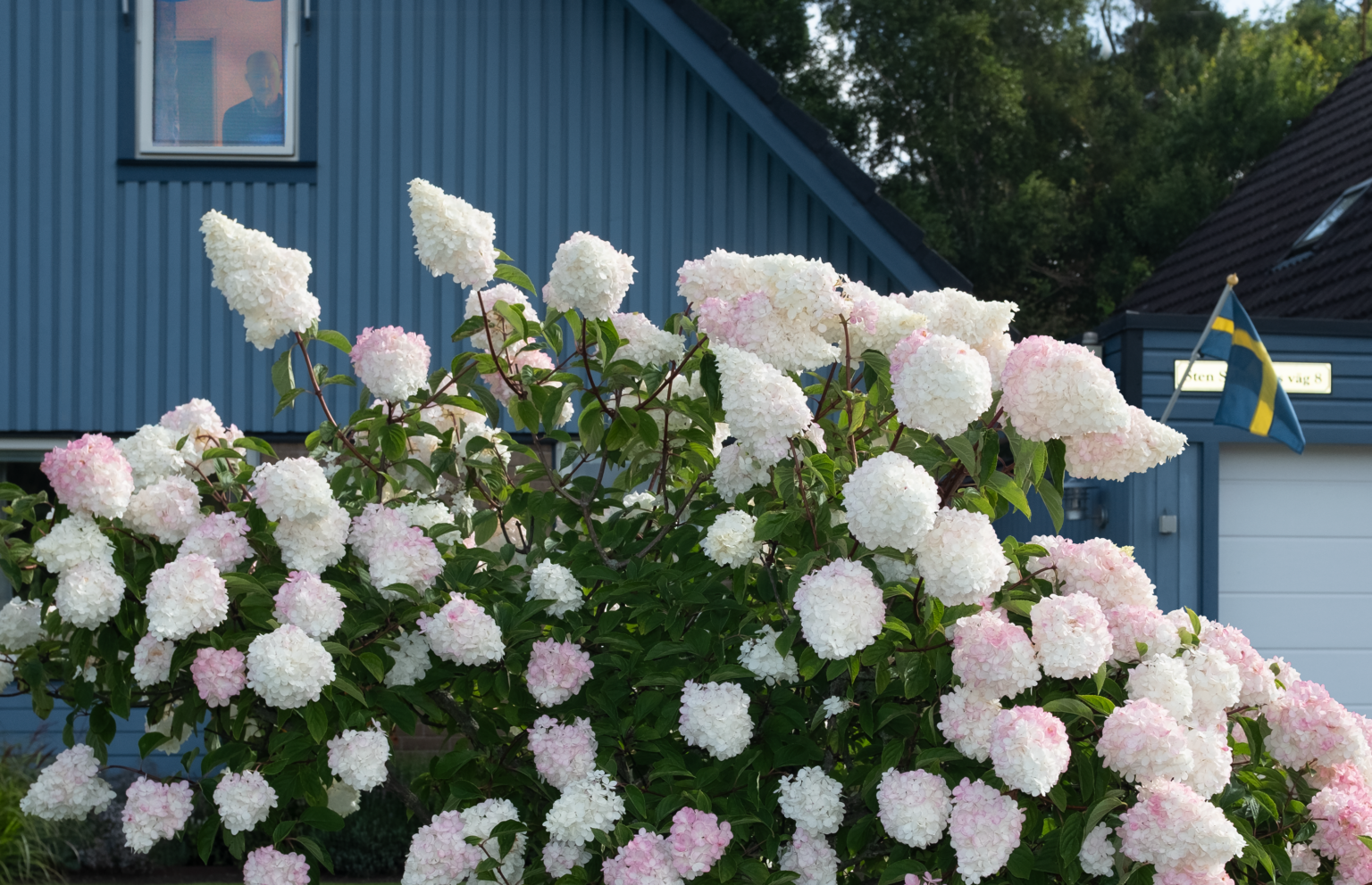 Norway’s Motlys Boards ‘A Phone Rings in the Middle of the Night,’ From Ruben Östlund Label Plattform Produktion (EXCLUSIVE)