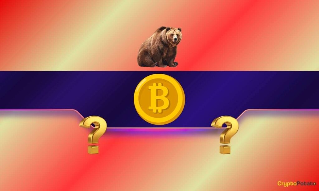 BTC Flash Dump: Why Bitcoin Fell $4K in Hours and What Comes Next